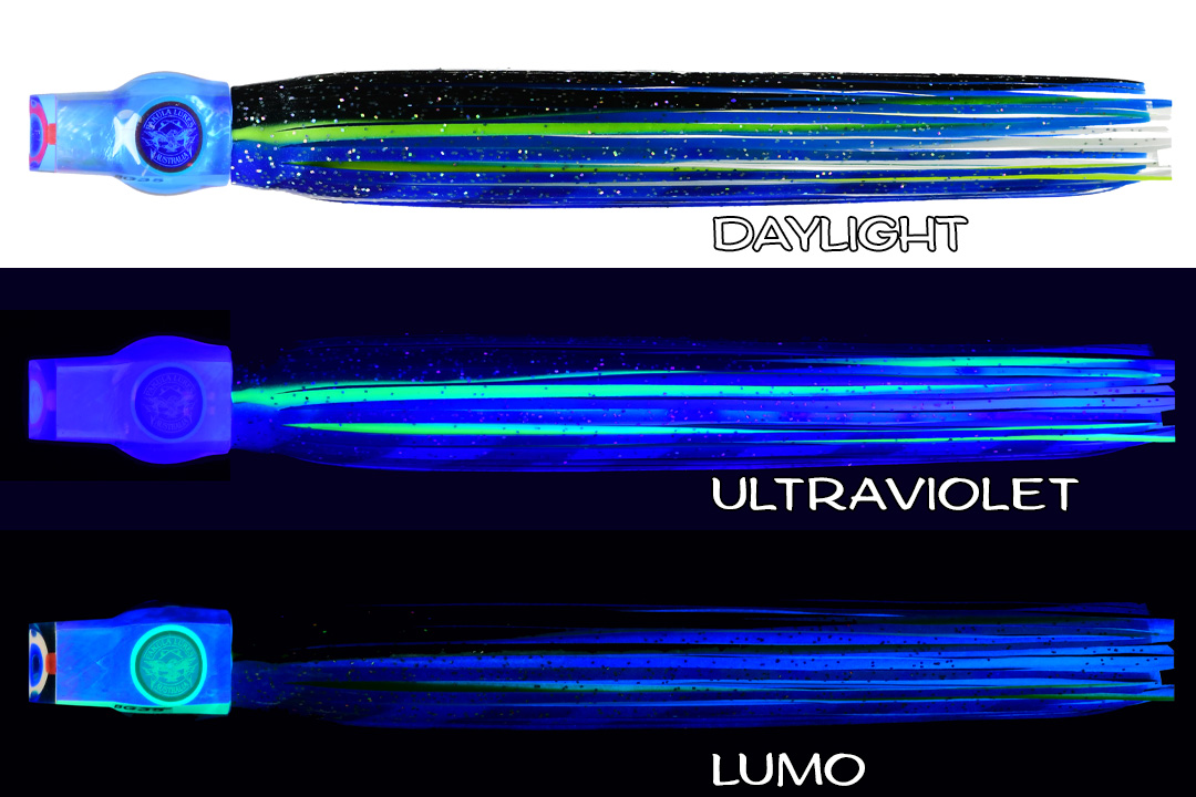 Shell Stubby Arc Angel