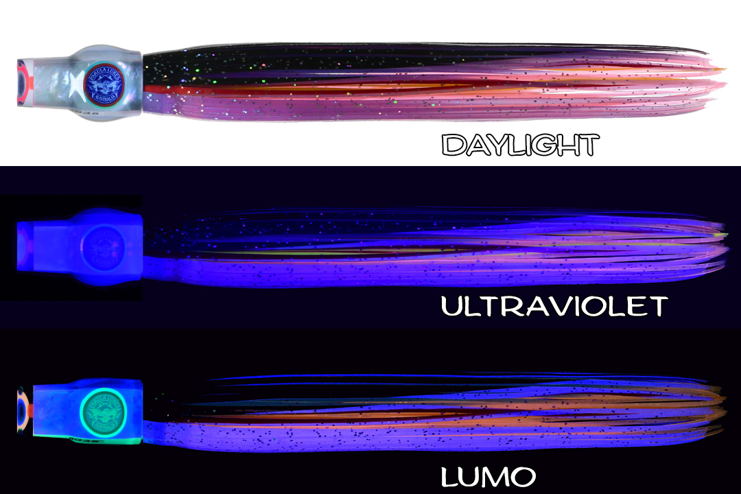 Shell Stubby Billy B