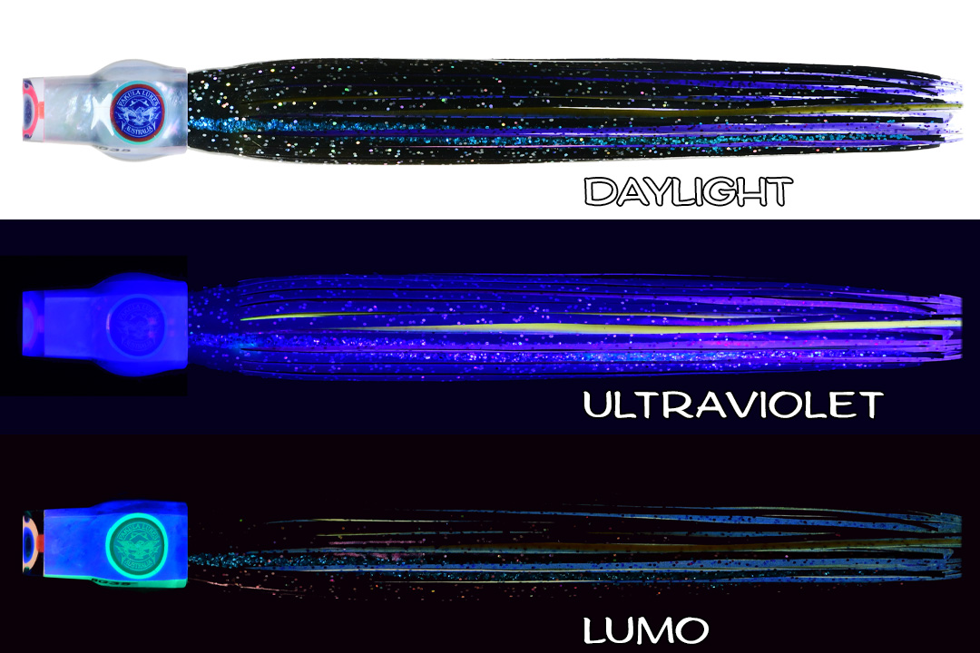 Shell Stubby Black Betty