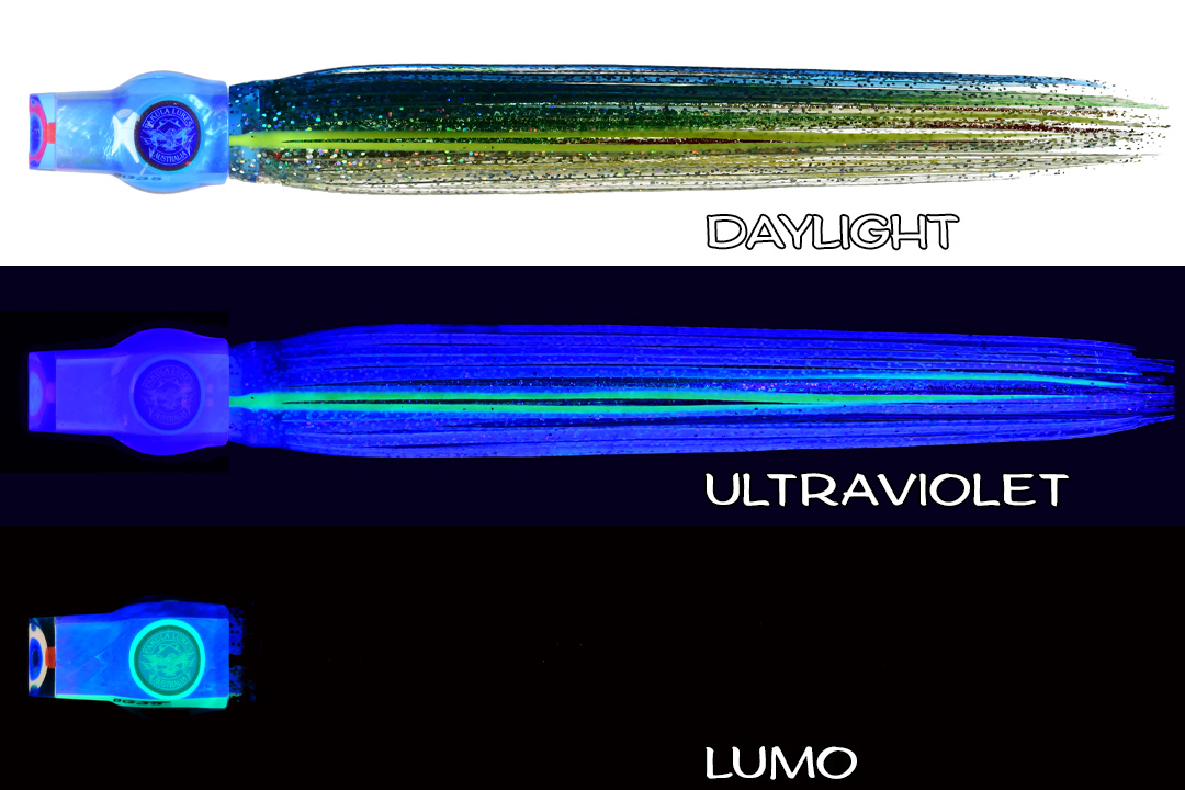 Shell Stubby Blue Angel