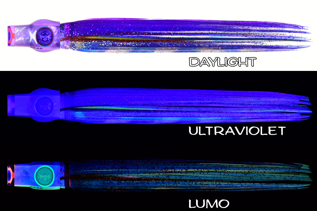 Shell Stubby Blue Kona