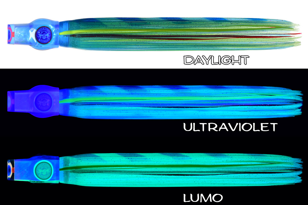 Shell Stubby Illusion