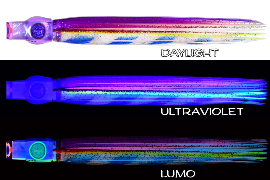 Shell Stubby Mojo Cat