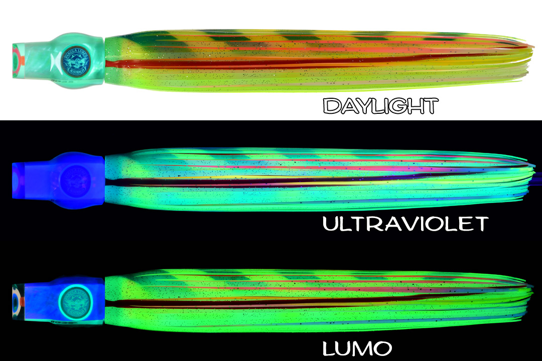 Shell Stubby Yum Yum