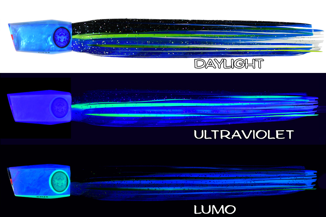 Shell Changa 25 Arc Angel