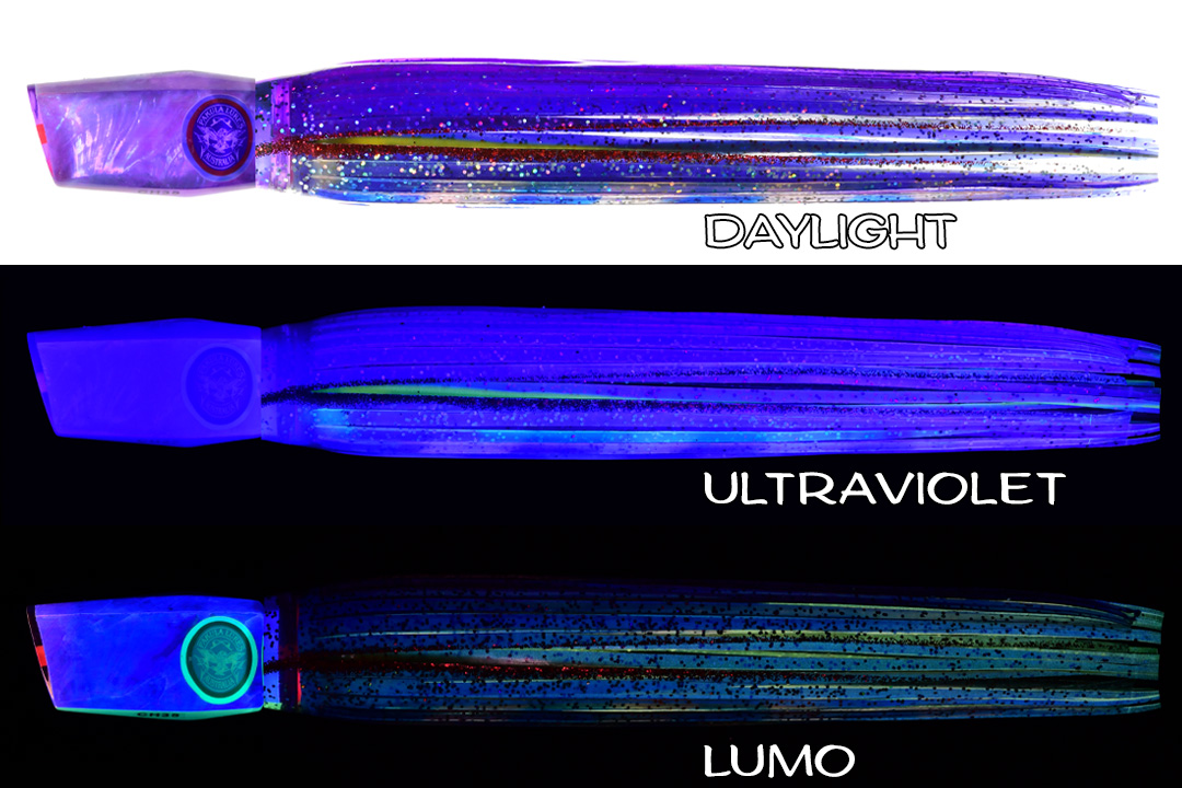 Shell Changa 25 Blue Kona