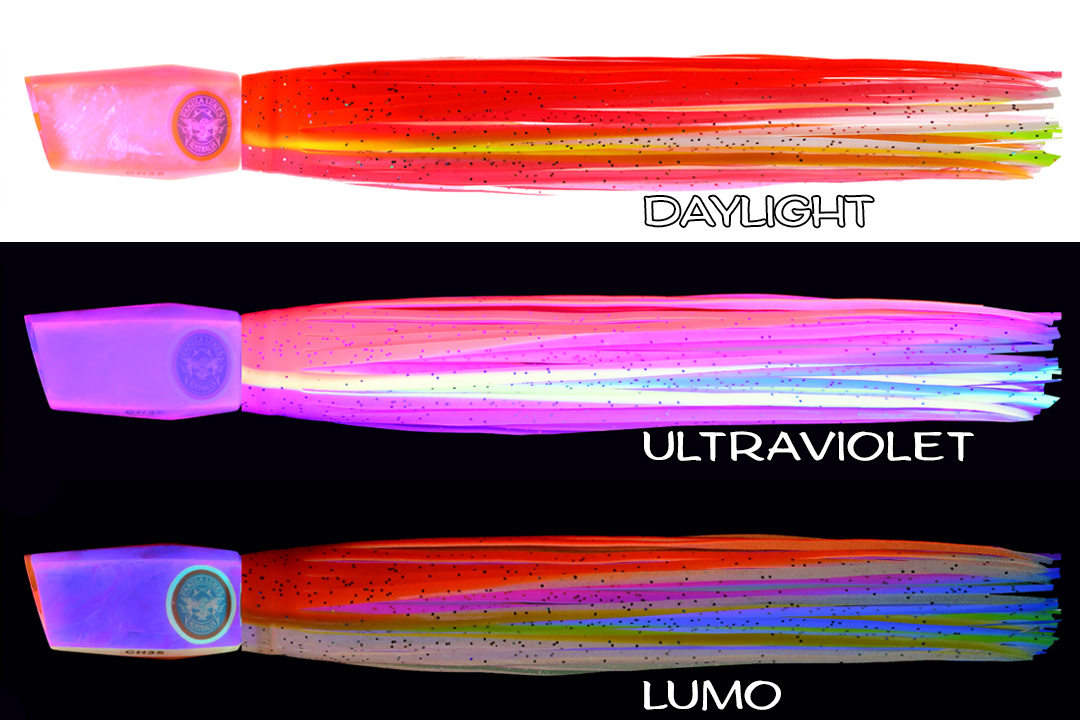 Shell Changa 25  Brad j