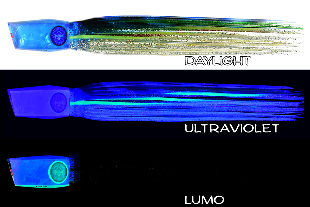 Shell Changa 25 Evil Angel