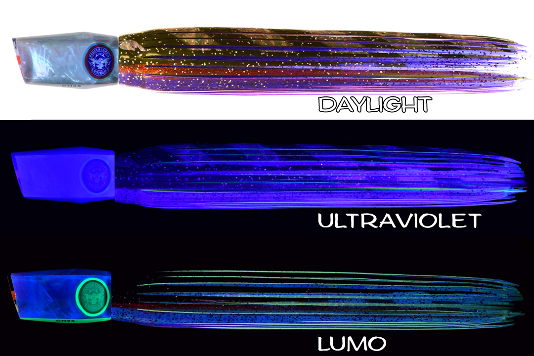 Shell Changa 25 Frigate