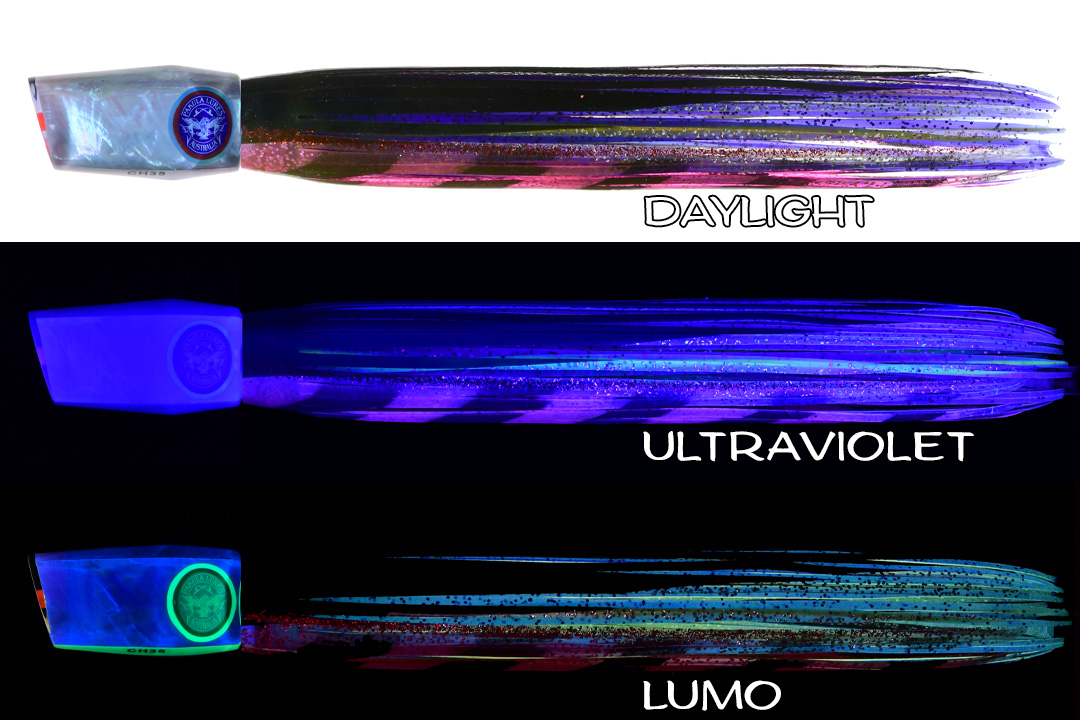 Shell Changa 25 Fuzz