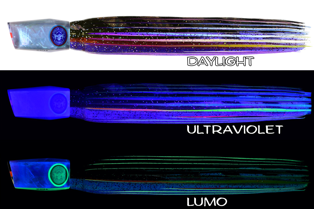 Shell Changa 25 Hot Frigate