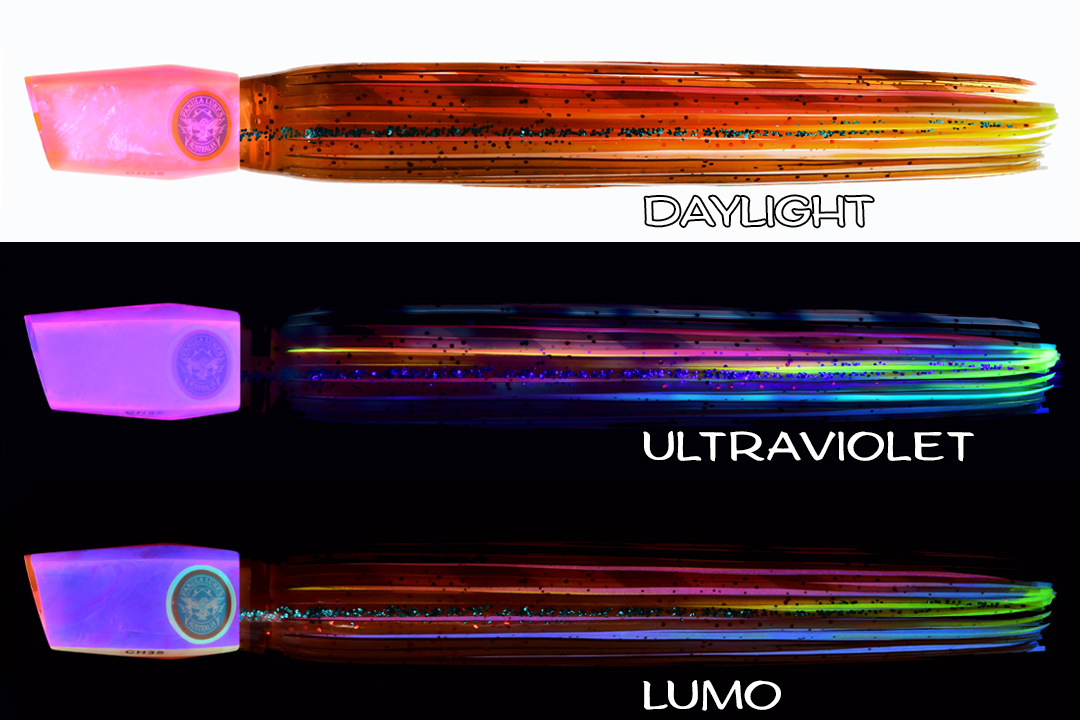 Shell Changa 25 Light Squid