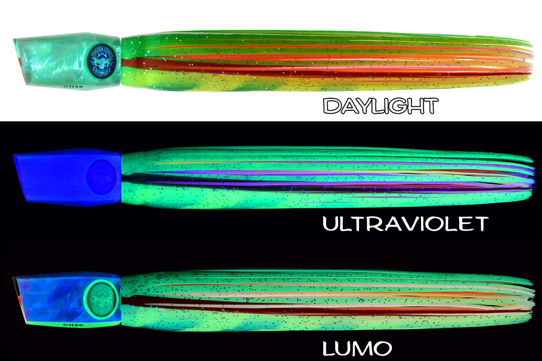 Shell Changa 25 Quoka