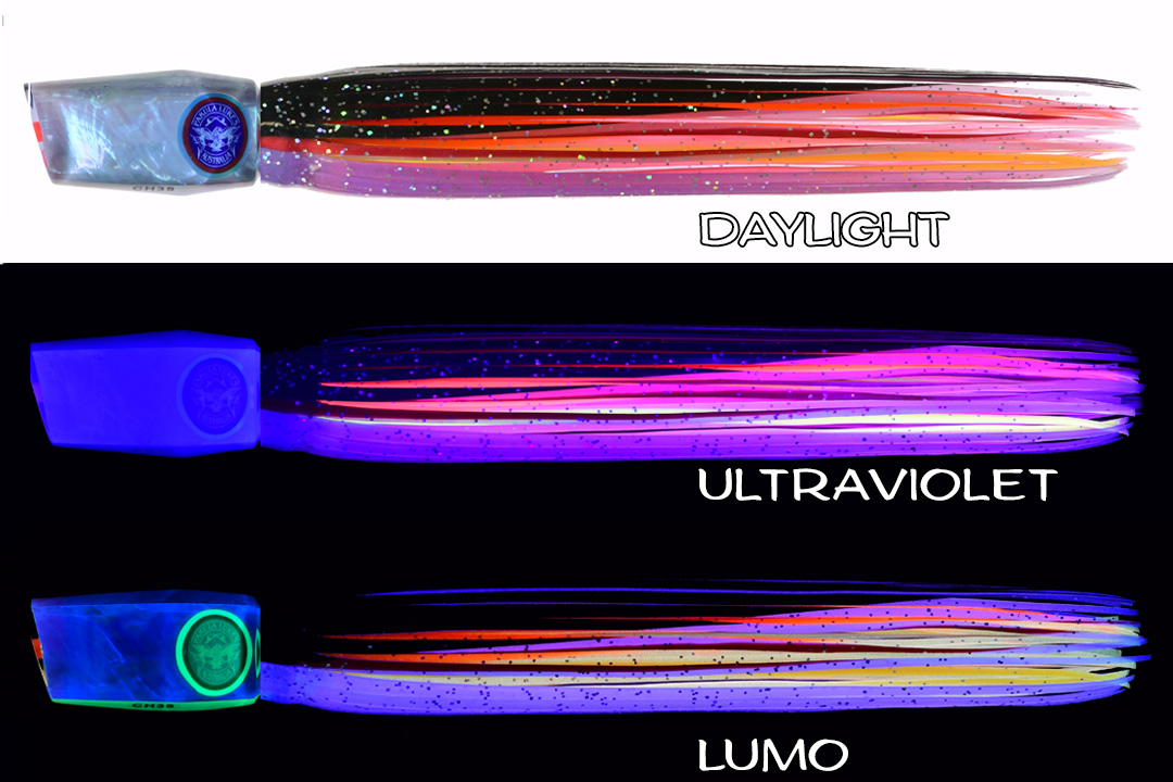 Shell Changa 25 Red Bait Billy