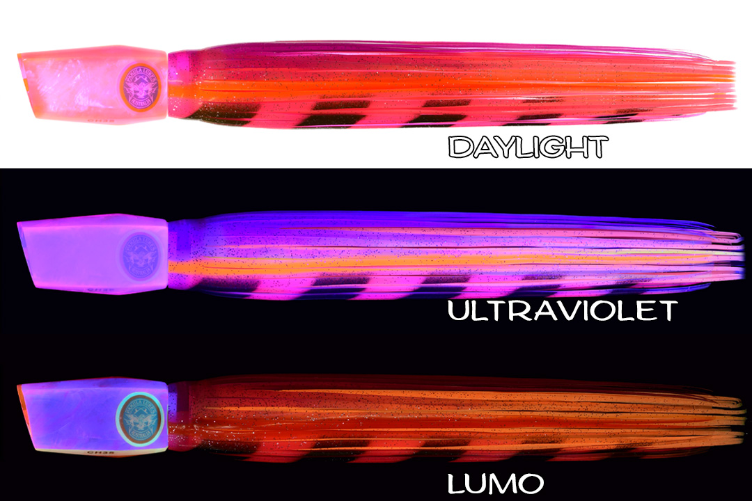 Shell Changa 25 Screamer