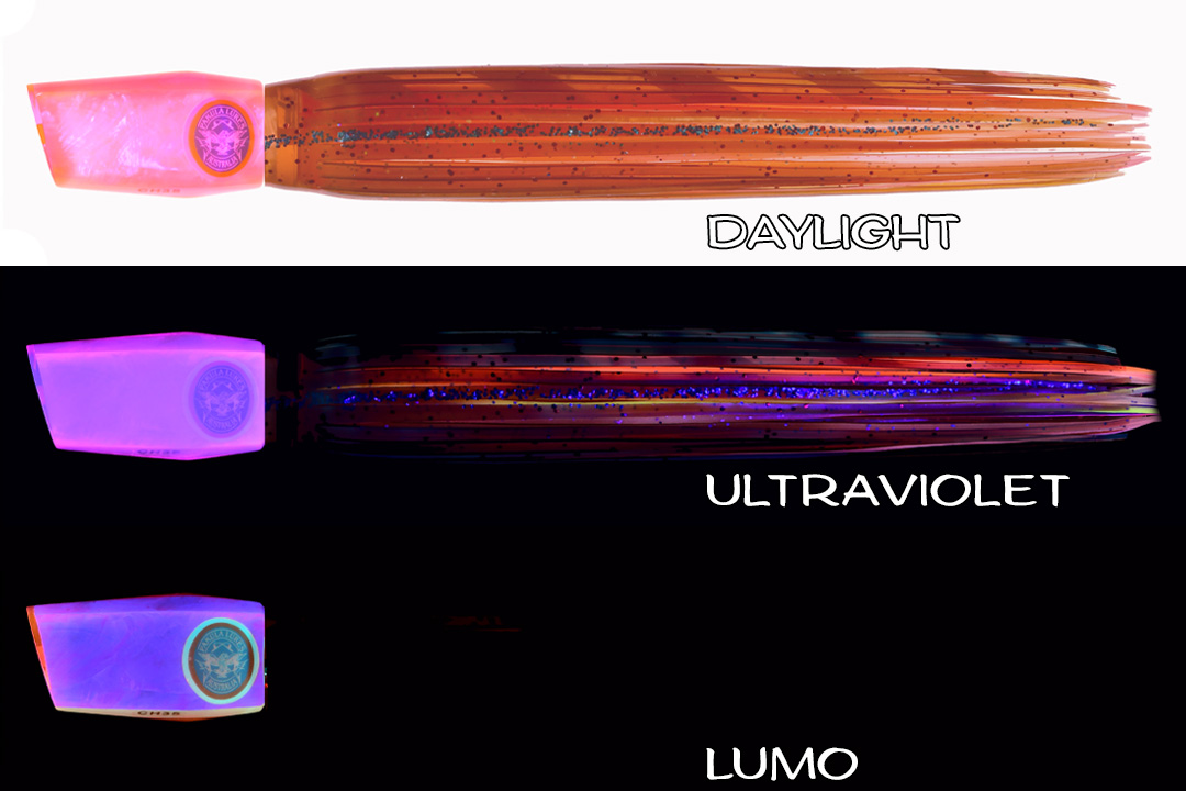 Shell Changa 25 Sizzling Squid