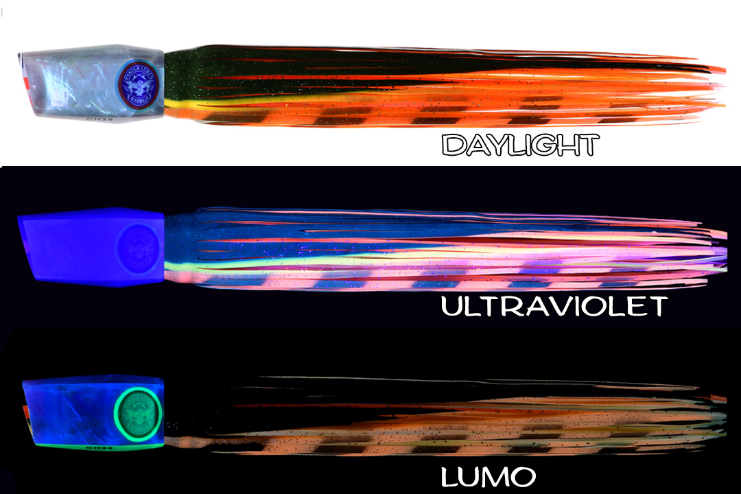 Shell Changa 25 Torro