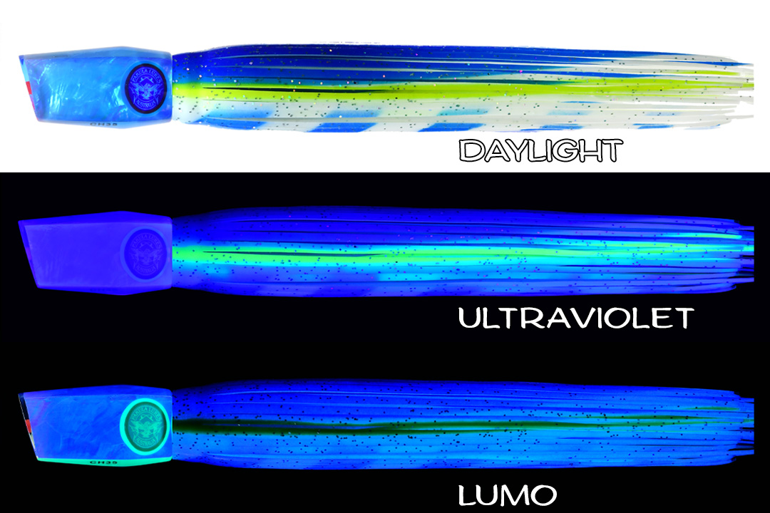 Ch Changa Magnet Blue 3 Shell Changa 25 Magnet Blue - Image 1