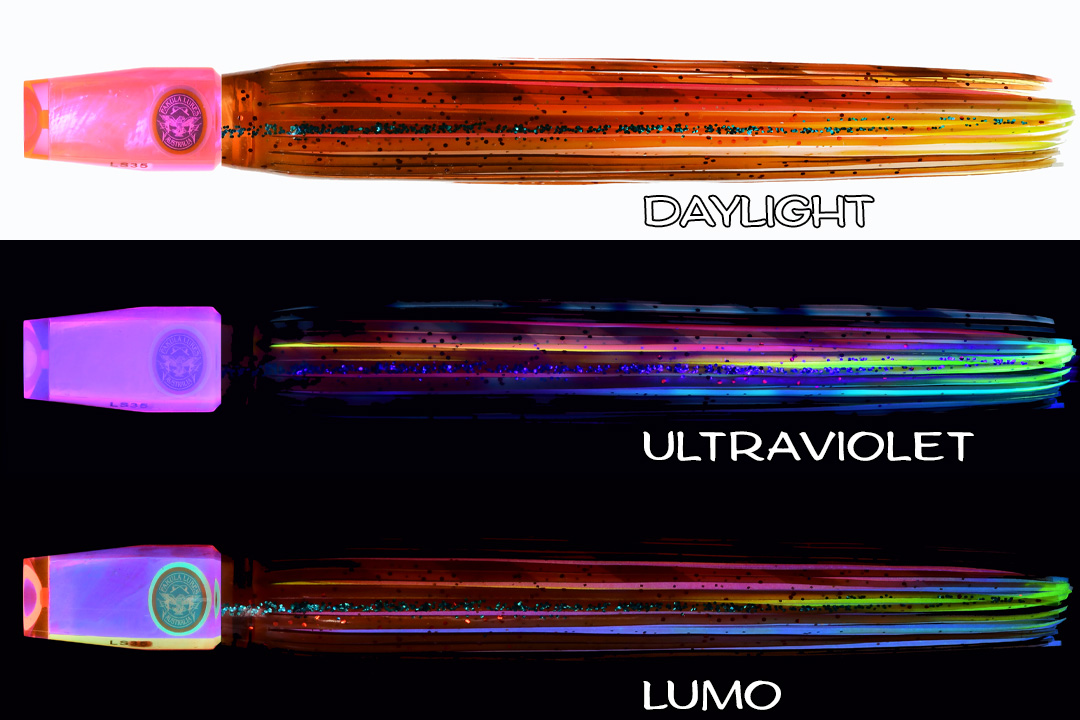 LS Light Squid 3 Shell Phantom Light Squid - Image 1