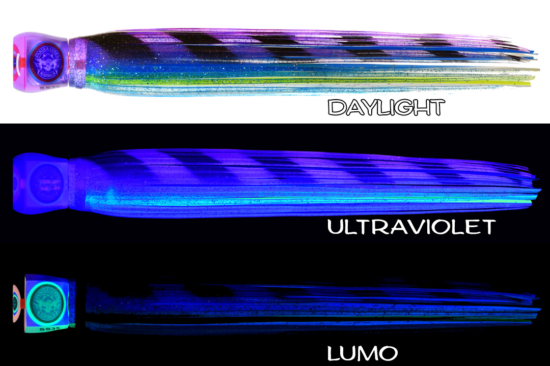 SS Shaker Stripy Lumo 3 Shell Hornet Stripey Lumo - Image 1