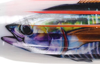Medium 3D Fish Print Lures Size 35 - 297mm 11.80" to 319mm 12.75"