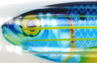 Small 3D Fish Print Lures Size 25 - 219mm 8.70” to 242mm 9.60"