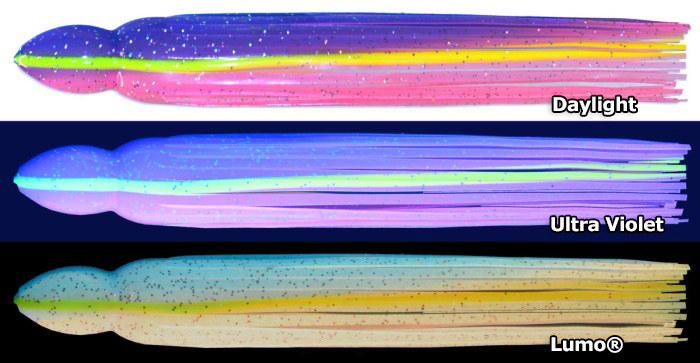 Size 25 Blue / Pink Lumo