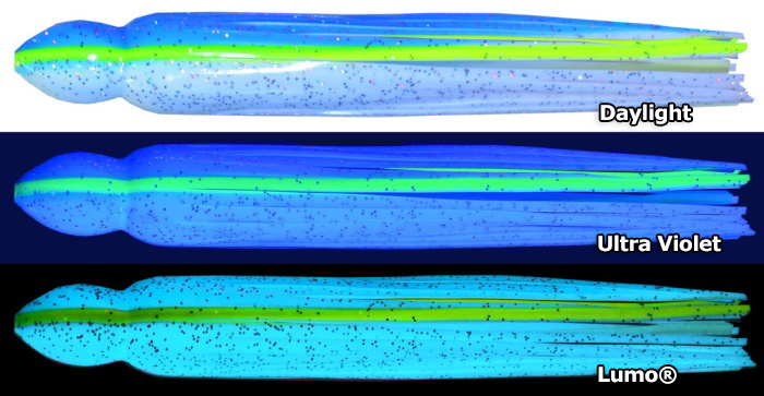 Size 25 Blue / White Lumo
