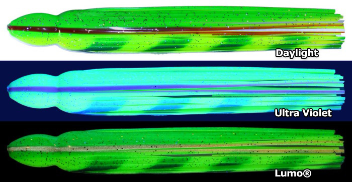 Size 25 Grasshopper Chev Lumo